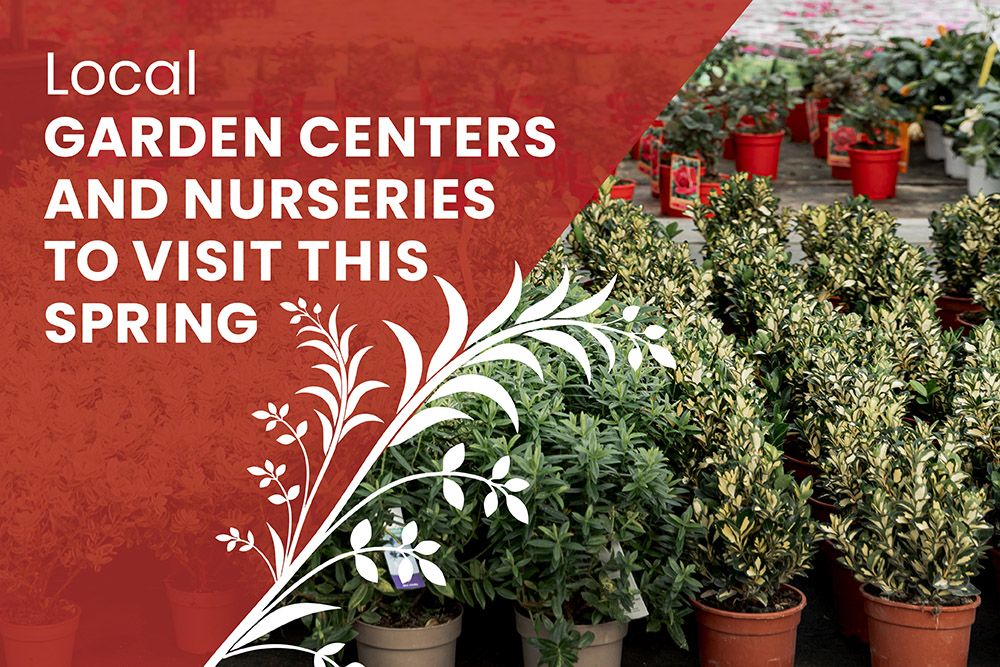 Local Garden Centers and Nurseries to Visit This Spring | Stark Company Realtors